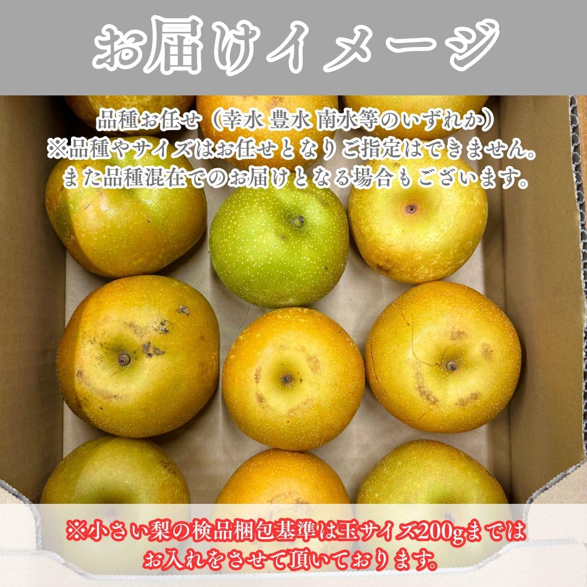 梨　ご家庭用　 3kg／5kg／10kg　長野県産　【品種お任せ（幸水 豊水 南水等のいずれか）】