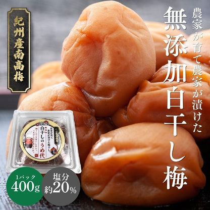 梅干し 白干し 紀州南高梅 無添加 大粒 塩分20% 3L～4L 訳あり 400g／400g x2／400g×3／400g×4 酸っぱい 国産 和歌山 なんこう梅