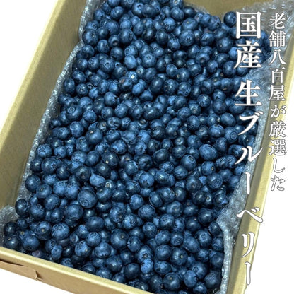 ブルーベリー　ご家庭用　1kg／2kg　長野県産