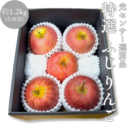 りんご 特選 ギフト 化粧箱 糖度13.5度以上 ふじ 【光センサー選別品】約1.2kg ／約2.5kg 青森県産 長野県産 林檎 箱 リンゴ