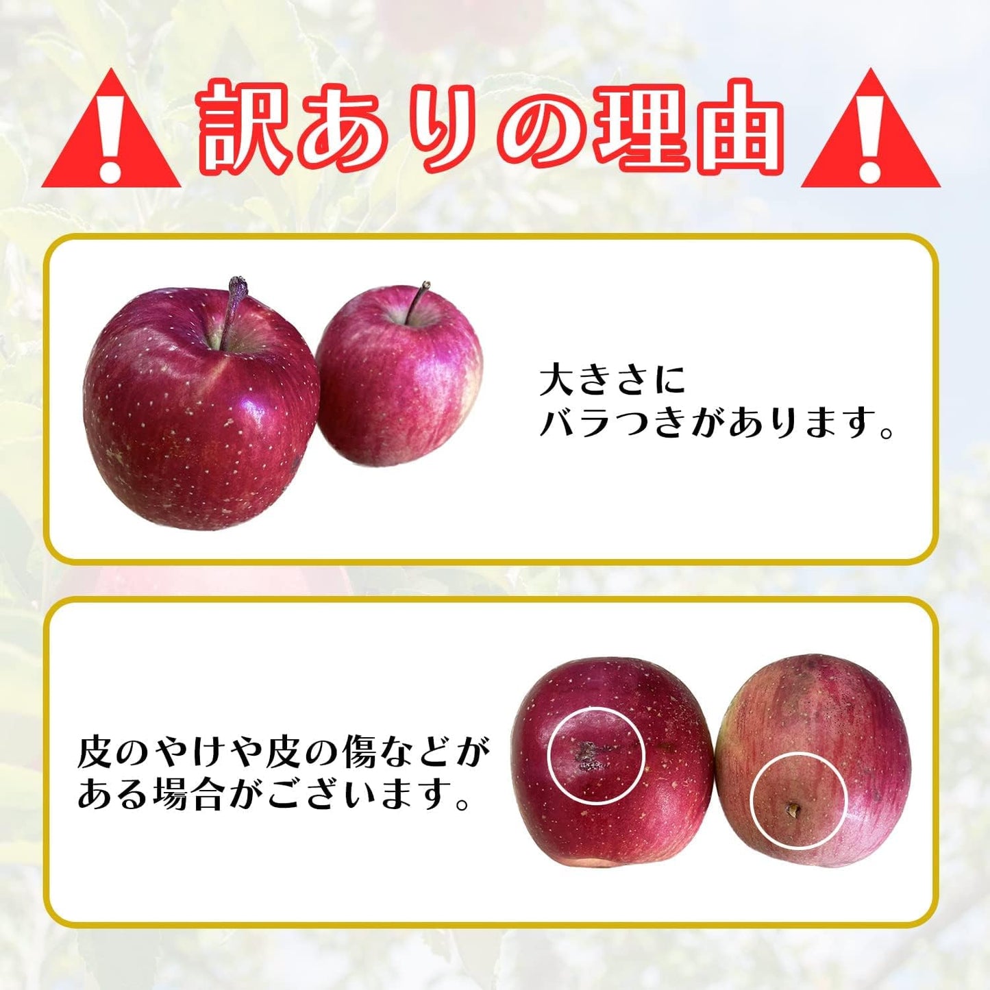 【光センサー選別品】 りんご 訳あり ご家庭用 キズあり 1kg/2kg/3kg/5kg10kg 長野県産 おまかせ品種 サンつがる シナノリップ シナノゴールド シナノスウィート シナノドルチェ 林檎 箱 リンゴ [みさわのやさい]
