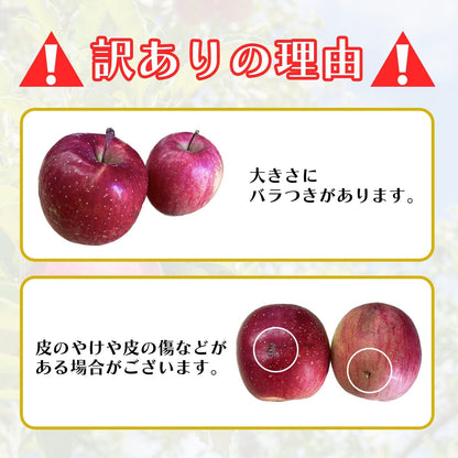 【光センサー選別品】 りんご 訳あり ご家庭用 キズあり 1kg/2kg/3kg/5kg10kg 長野県産 おまかせ品種 サンつがる シナノリップ シナノゴールド シナノスウィート シナノドルチェ 林檎 箱 リンゴ [みさわのやさい]
