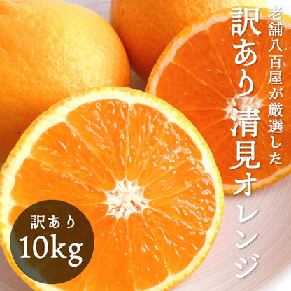 清見オレンジ 3kg／5kg／10kg 和歌山産 訳あり ご家庭用 箱 きよみ 清見タンゴール