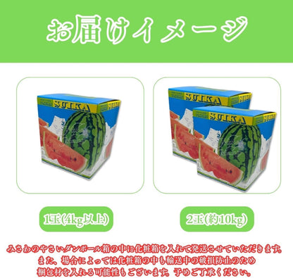 すいか　贈答用　1玉(4kg以上)／2玉(合計約10kg)　熊本県産　【化粧箱入り】