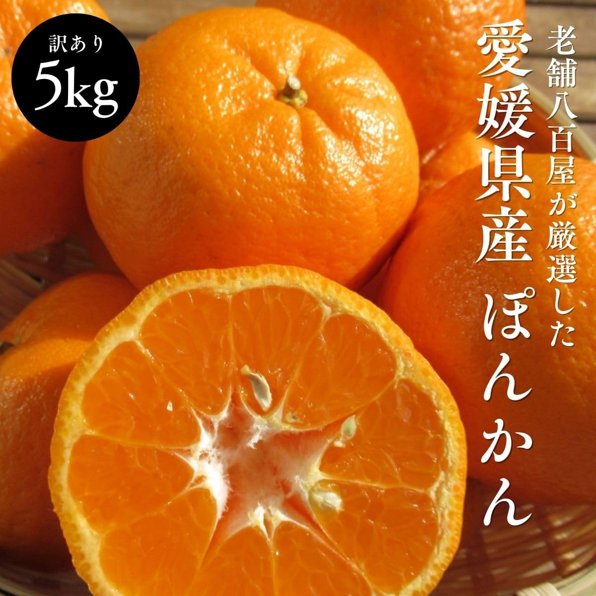 ぽんかん　ご家庭用　5kg／10kg　愛媛県産　【スレ、汚れ、黒点あり】