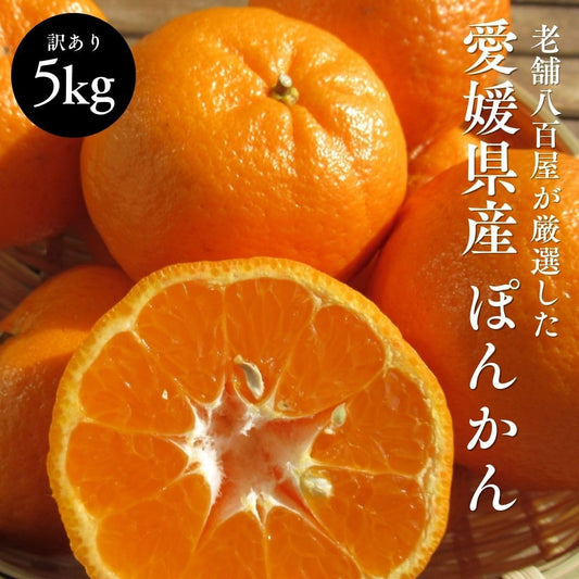 ぽんかん