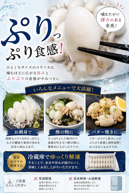 コウイカ 240g／240g×2／240g×4 ベトナム産 生食用 刺身 冷凍 ボイル ひとくちサイズ 甲イカ いか