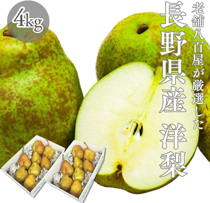 洋梨　ご家庭用　1kg／2kg／4kg／5kg　長野県産　【品種混在　品種お任せ(ラ・フランス　ル・レクチェ　オーロラ)】