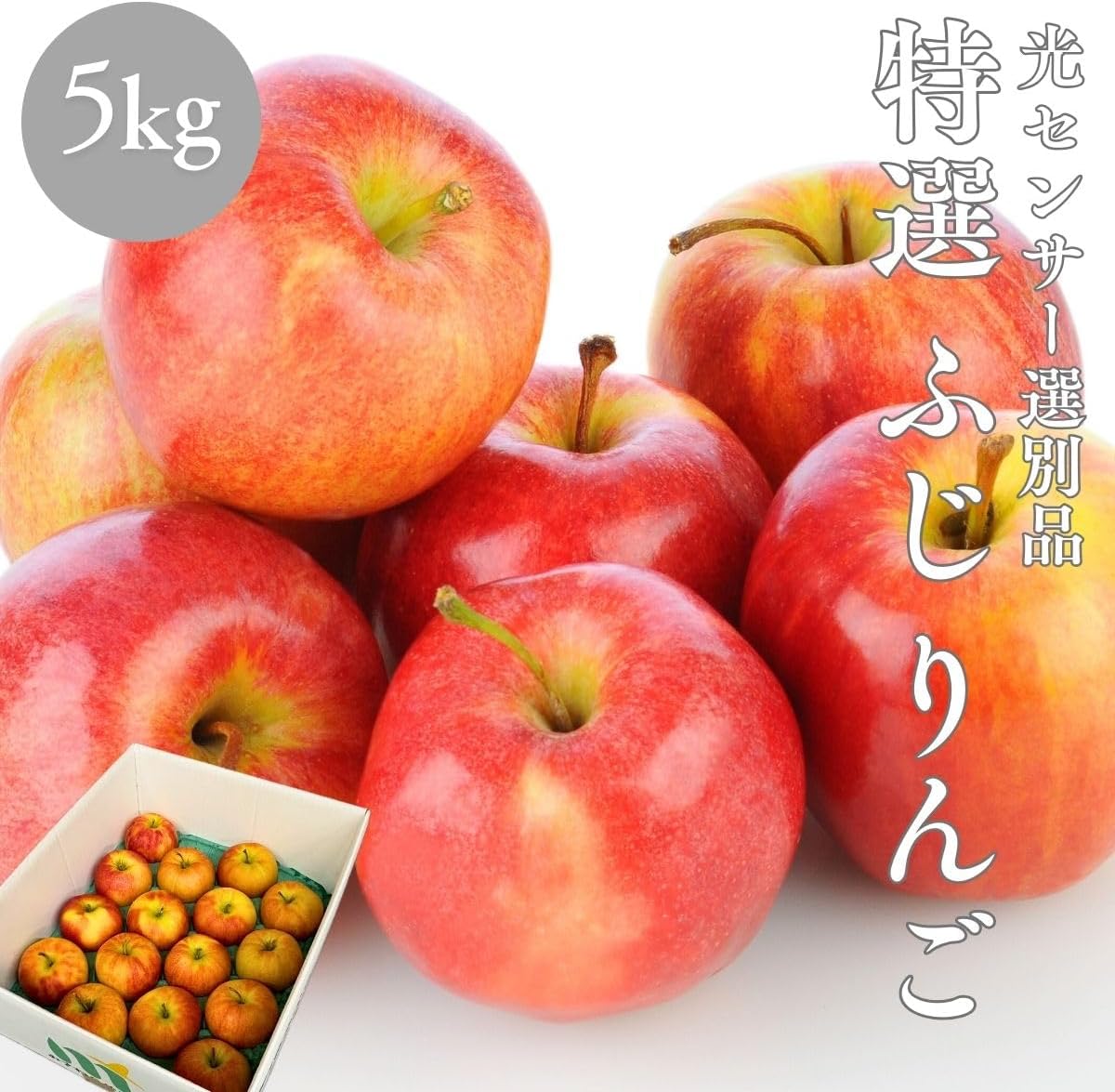 特選ふじりんご　2kg／5kg／10kg　 長野県産・その他　【 糖度13.5度以上　光センサー選別品】
