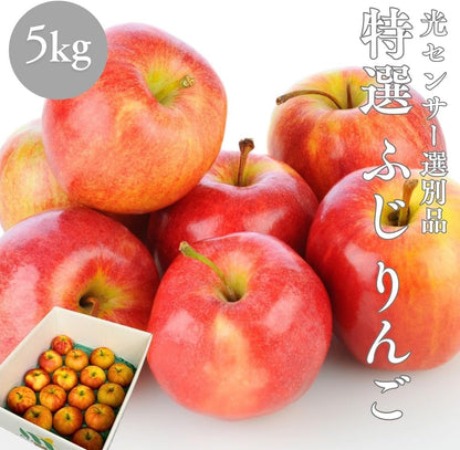 特選ふじりんご　2kg／5kg／10kg　 長野県産・その他　【 糖度13.5度以上　光センサー選別品】