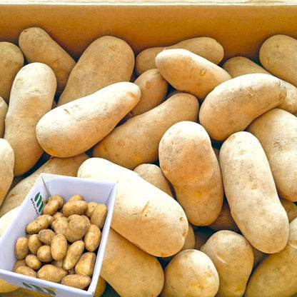 メークイン3kg／5kg ／10kg じゃがいも サイズお任せ(M〜2L) 北海道産 訳あり 新鮮 じゃが芋 国産