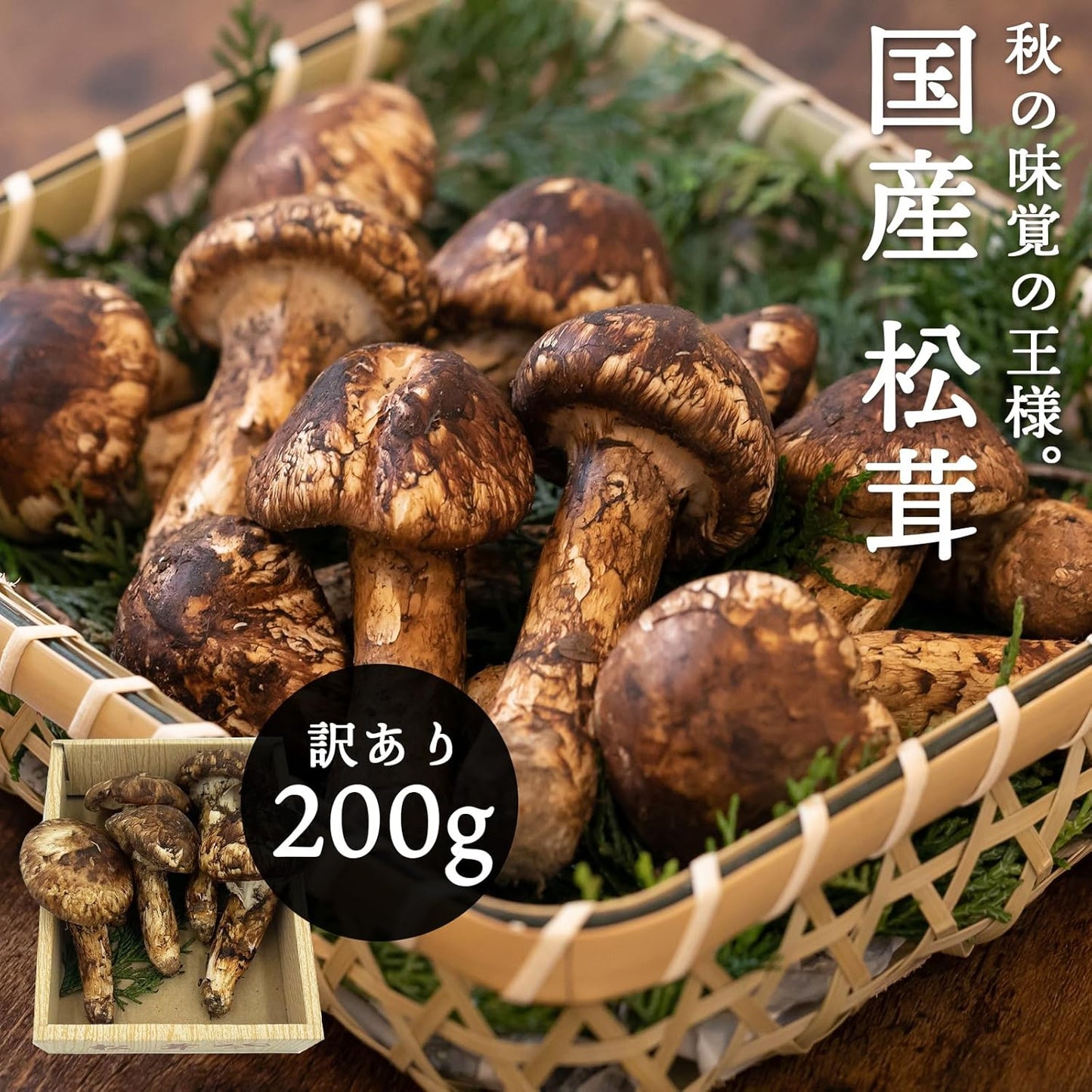 松茸　ご家庭用　100g／200g／300g／1kg　長野県産・その他