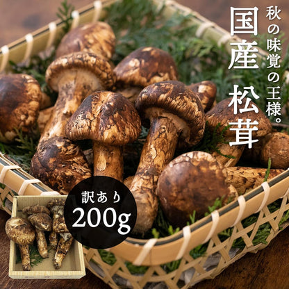 松茸　ご家庭用　100g／200g／300g／1kg　長野県産・その他