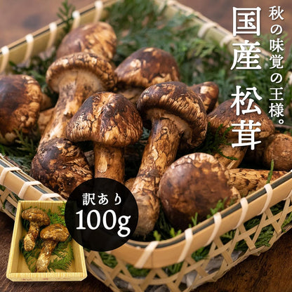 松茸　ご家庭用　100g／200g／300g／1kg　長野県産・その他