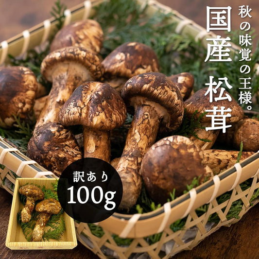 松茸　ご家庭用　100g／200g／300g／1kg　長野県産・その他