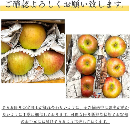 【光センサー選別品】 りんご 訳あり ご家庭用 キズあり 1kg/2kg/3kg/5kg10kg 長野県産 おまかせ品種 サンつがる シナノリップ シナノゴールド シナノスウィート シナノドルチェ 林檎 箱 リンゴ [みさわのやさい]