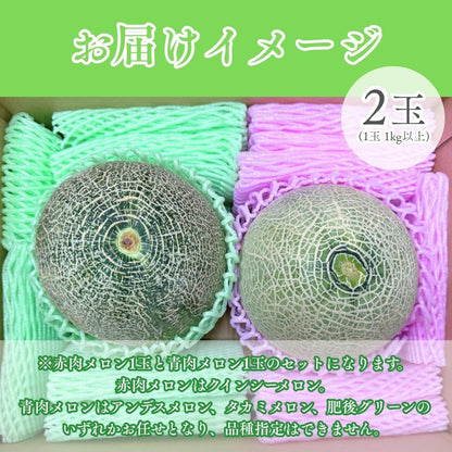 メロン 赤肉 青肉 メロンセット 2玉（1玉 1kg以上）大玉 訳あり／2玉（1玉 1kg以上） 化粧箱入り ギフト 贈答 熊本県産  めろん 食べ比べ