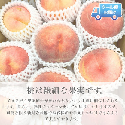 桃 訳あり もも ＜クール便＞   1kg (4玉前後)／2kg (8玉前後) ／3kg (8-15玉)／5kg (16玉-21玉) ご家庭用 果物桃 ピーチ モモ