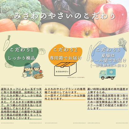 有田みかん　ご家庭用　1.5kg／3kg／5kg／10kg　和歌山県産　【スレ、汚れ、黒点あり】　