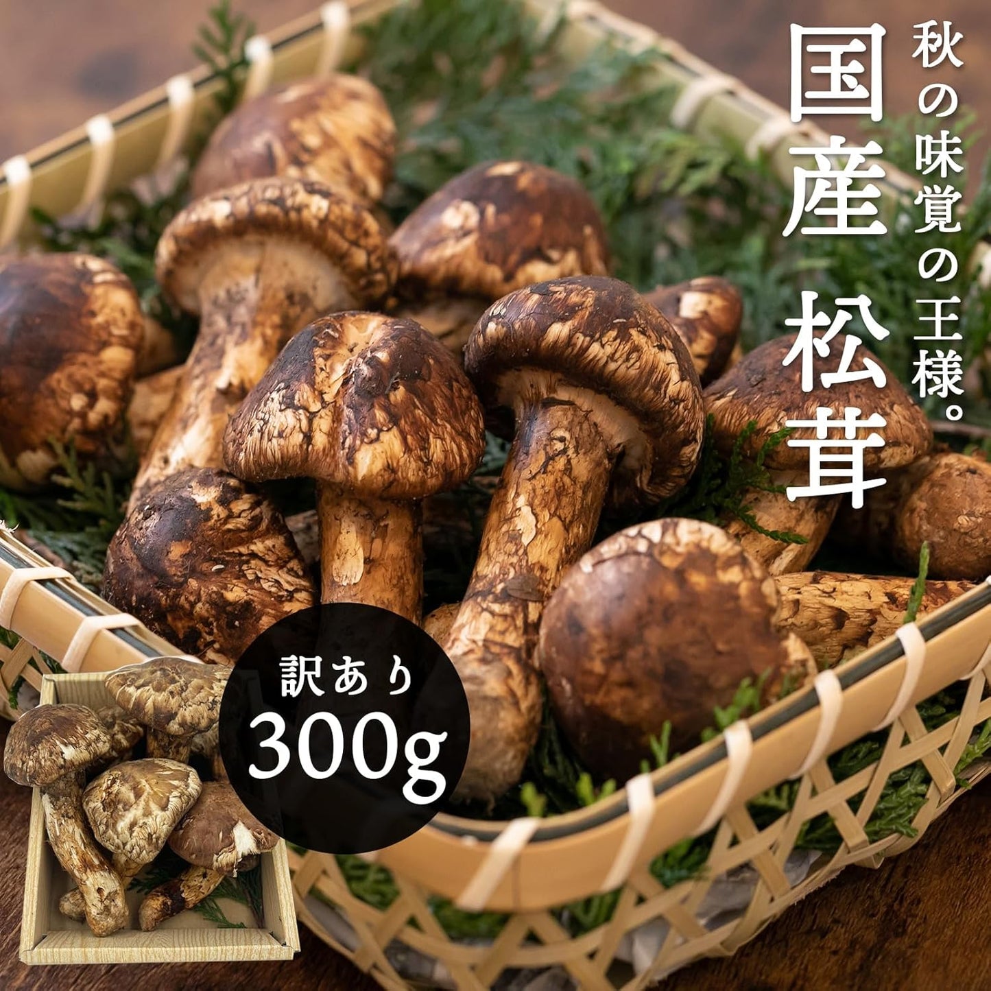 松茸　ご家庭用　100g／200g／300g／1kg　長野県産・その他