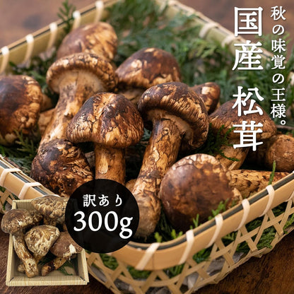 松茸　ご家庭用　100g／200g／300g／1kg　長野県産・その他