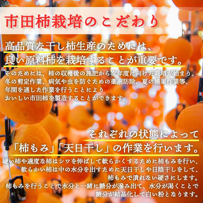 市田柿　干し柿　ご家庭用　800g／800g×2／800×3（冷凍便） 長野県・南信州産