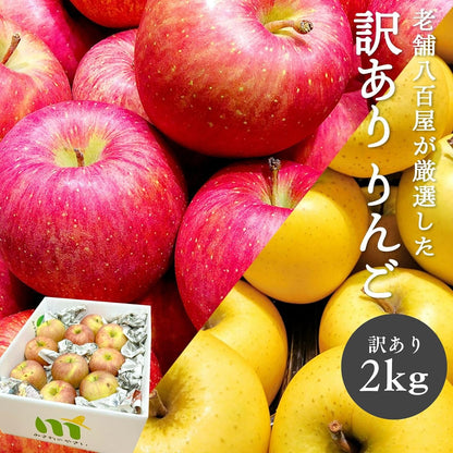 【光センサー選別品】 りんご 訳あり ご家庭用 キズあり 1kg/2kg/3kg/5kg10kg 長野県産 おまかせ品種 サンつがる シナノリップ シナノゴールド シナノスウィート シナノドルチェ 林檎 箱 リンゴ [みさわのやさい]