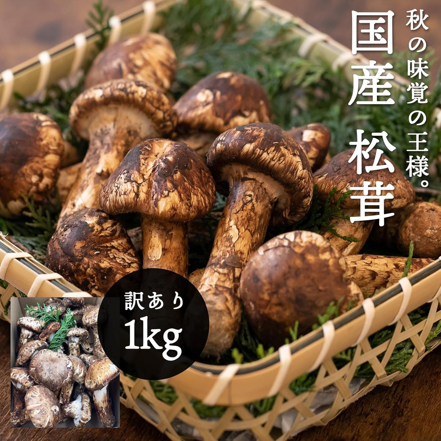 松茸　ご家庭用　100g／200g／300g／1kg　長野県産・その他
