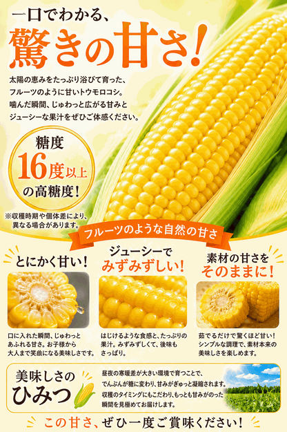 とうもろこし