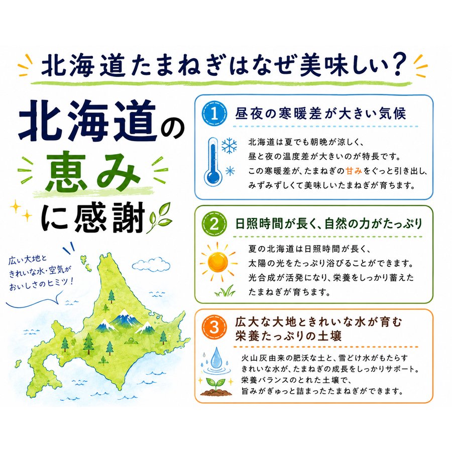 玉ねぎ