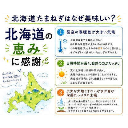 玉ねぎ