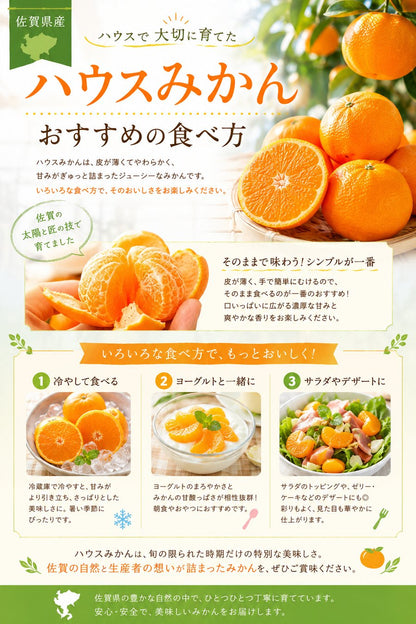 ハウスみかん