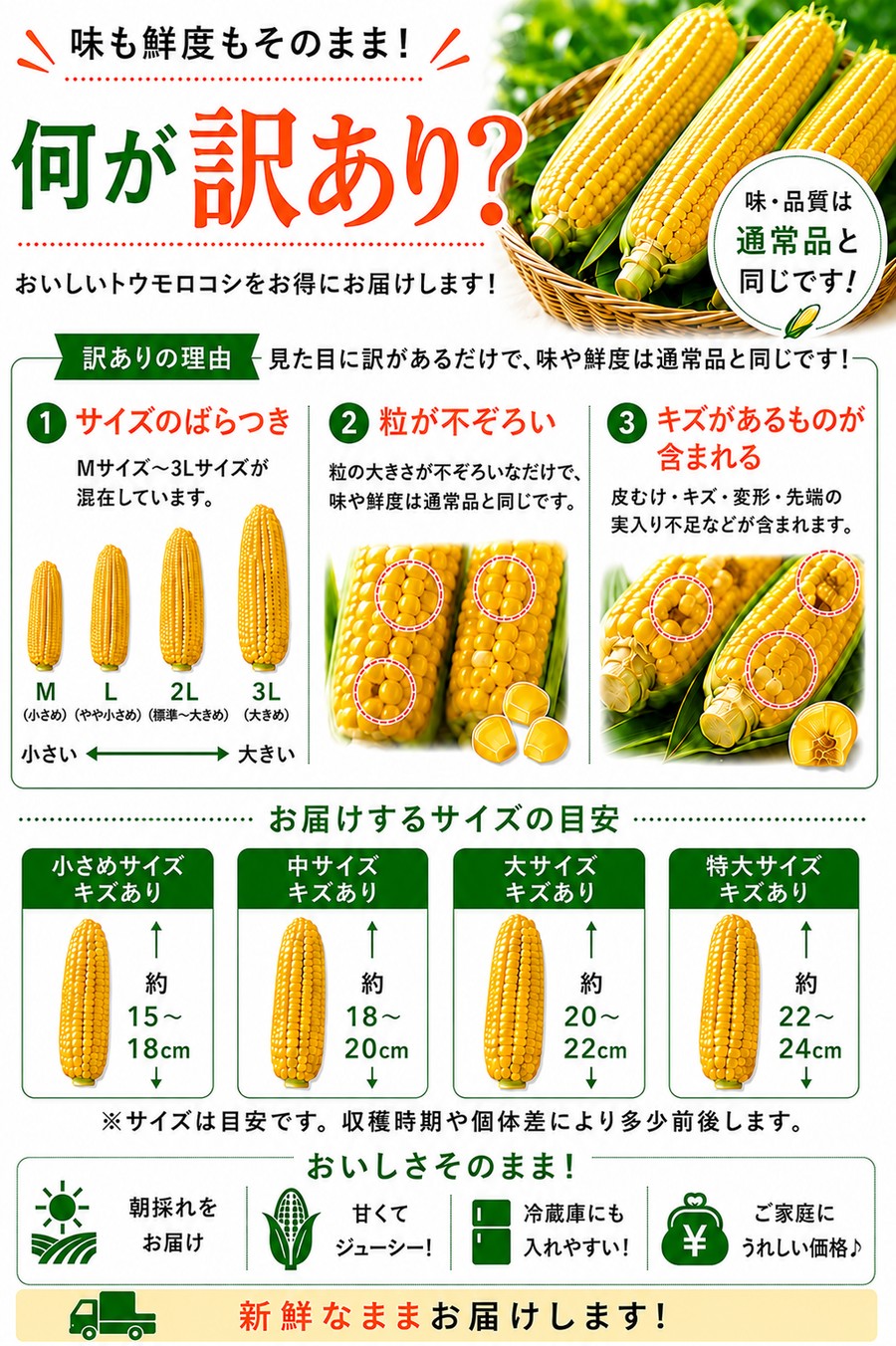 とうもろこし