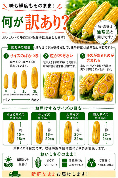 とうもろこし