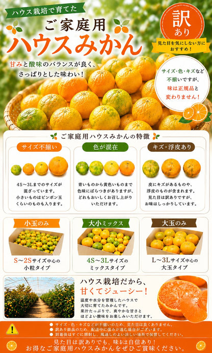 ハウスみかん