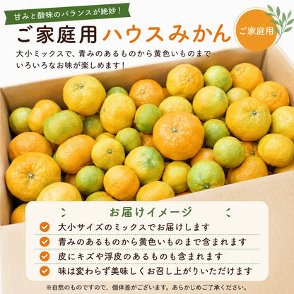 ハウスみかん