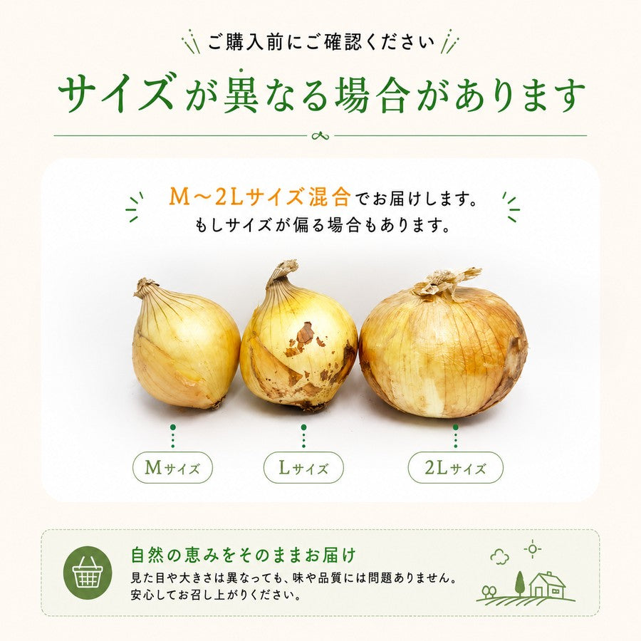 玉ねぎ