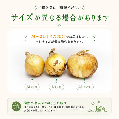 玉ねぎ