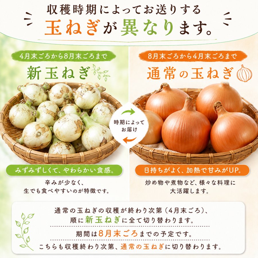 玉ねぎ