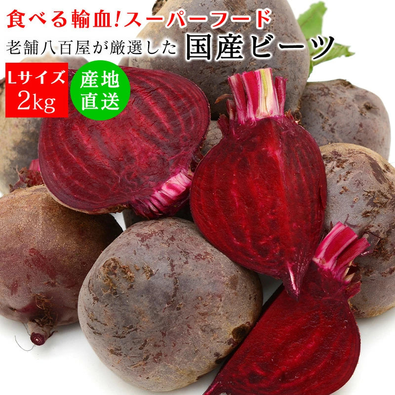 ビーツ 2kg Lサイズ 美味しい 長野県 野菜 新鮮