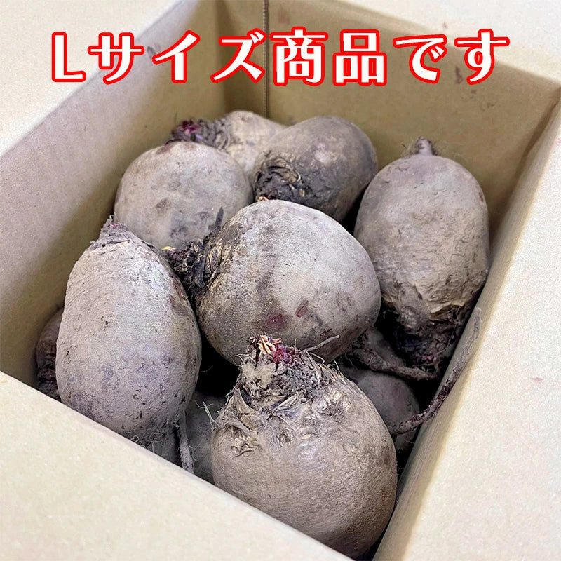 ビーツ 2kg Lサイズ 美味しい 長野県 野菜 新鮮
