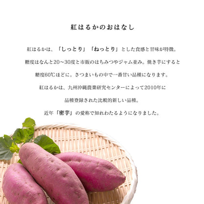 紅はるか 3kg/5kg 野菜 生活 新鮮 サツマイモ 美味しい