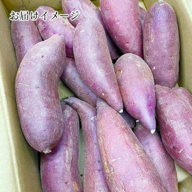 紅はるか 3kg/5kg 野菜 生活 新鮮 サツマイモ 美味しい
