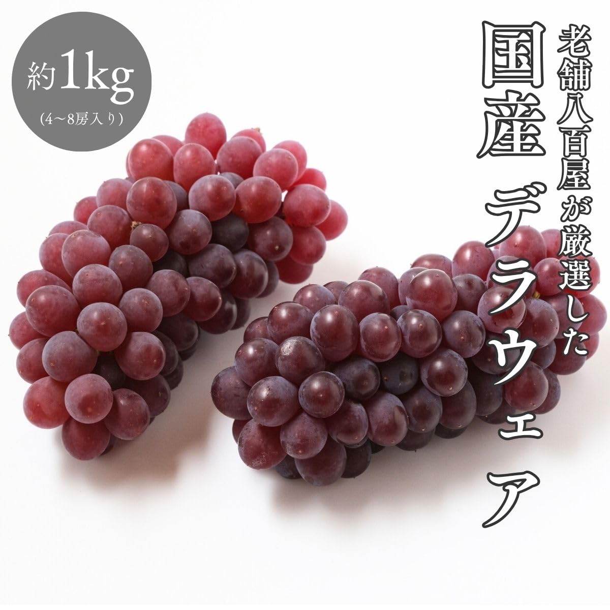 デラウェア　ご家庭用　約1kg(4～8房入り)／約2kg　島根県産・その他　【クール便　糖度20度以上】