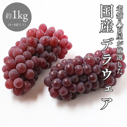 デラウェア　ご家庭用　約1kg(4～8房入り)／約2kg　島根県産・その他　【クール便　糖度20度以上】