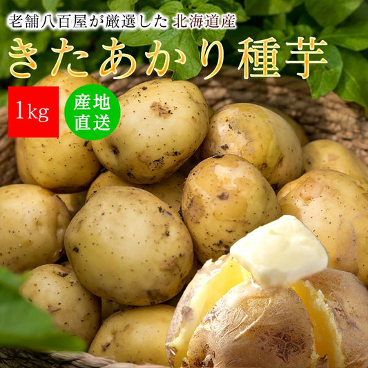 種芋