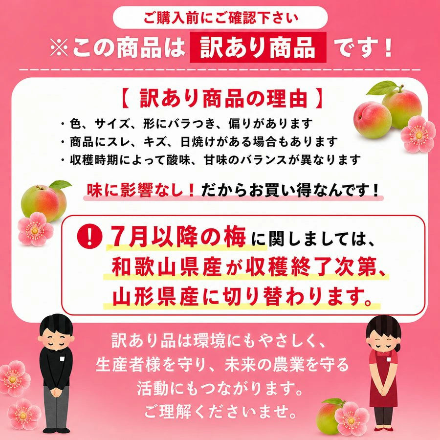 梅