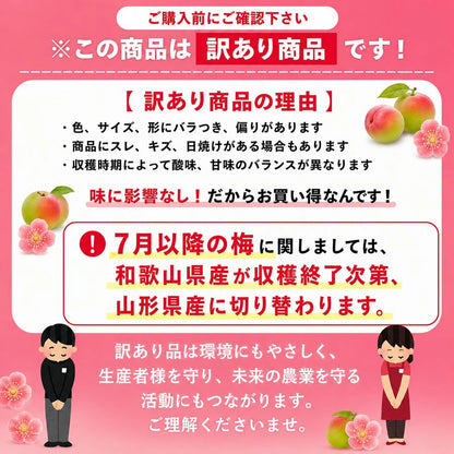 梅