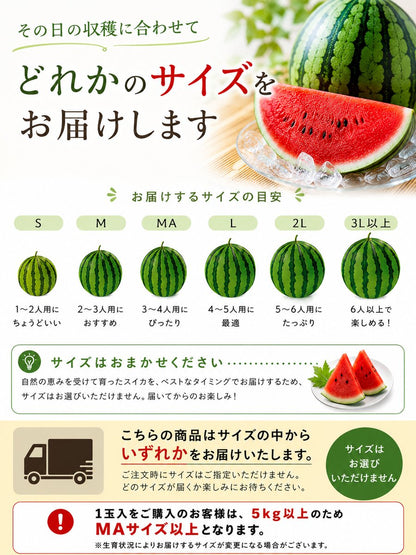 スイカ