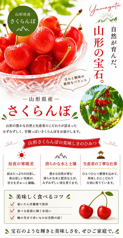 さくらんぼ ご家庭用 1kg／2kg 山形県産 【品種お任せ(S～2Lサイズ混合) クール便 6月下旬頃から発送予定 訳あり 規格外】